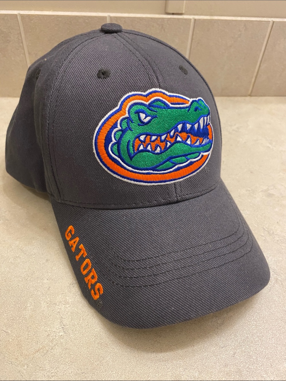 Gray Florida Gators Embroidered Logo Baseball Cap